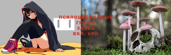 гашишное масло Богородицк